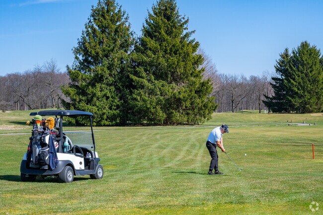 Play golf at one of the many great golf courses in and around Island Lake.