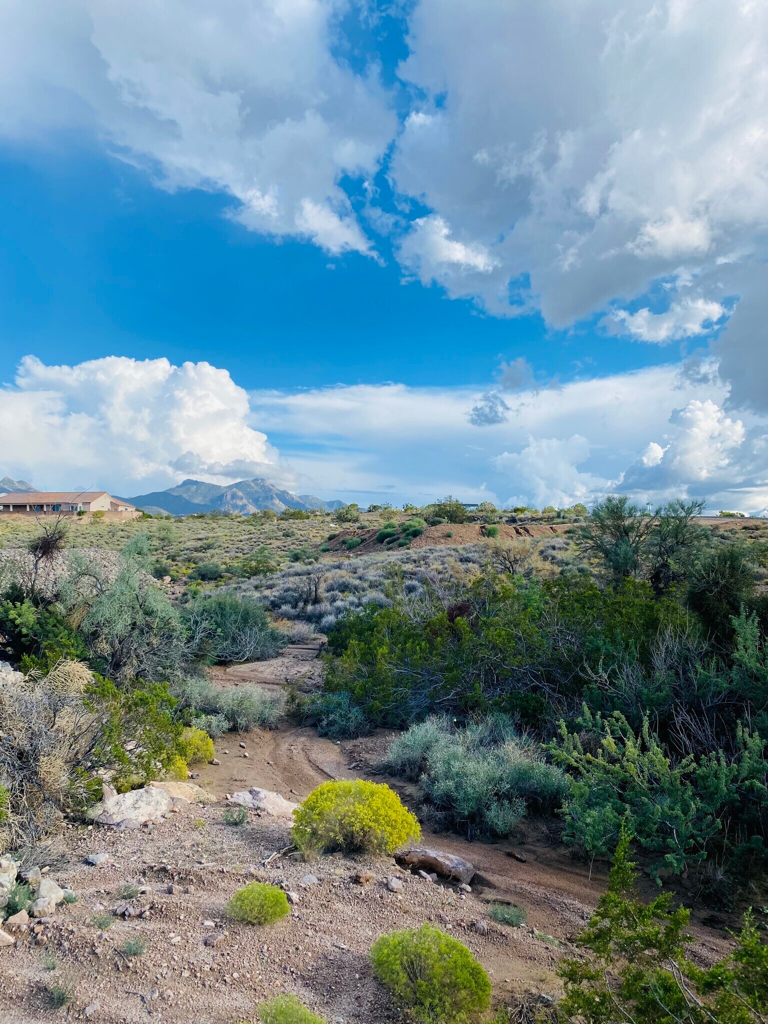 My picture in Boulder Creek.jpeg