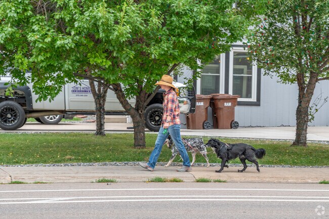 Take your dogs for a walk along the streets of Southmoore Village.