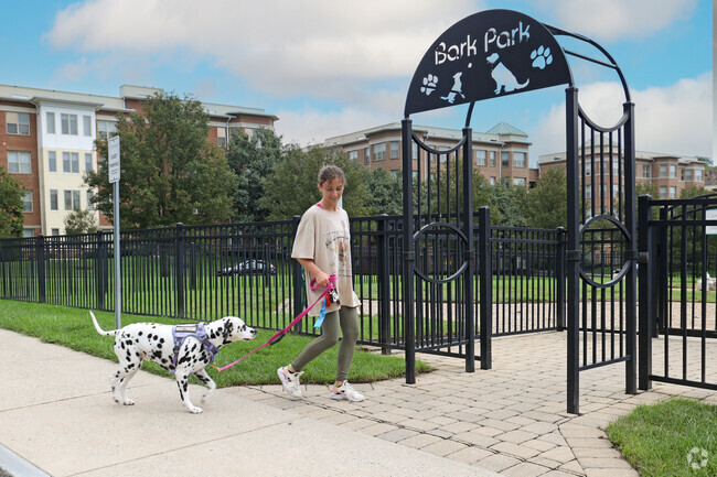 Spot will appreciate a trip to the Bark Park in Maplewood.