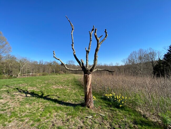 123 Looking Glass Hill Rd, Morris, CT 06763 - photo 7