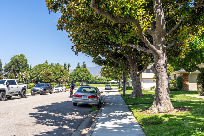 Old Town welcomes cyclists with open arms, embracing a cyclist-friendly neighborhood.