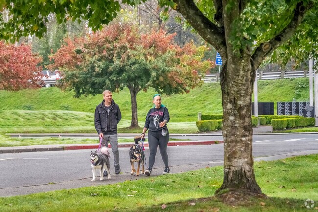 Westgate is a great, walkable neighborhood, great fit for dog lovers.