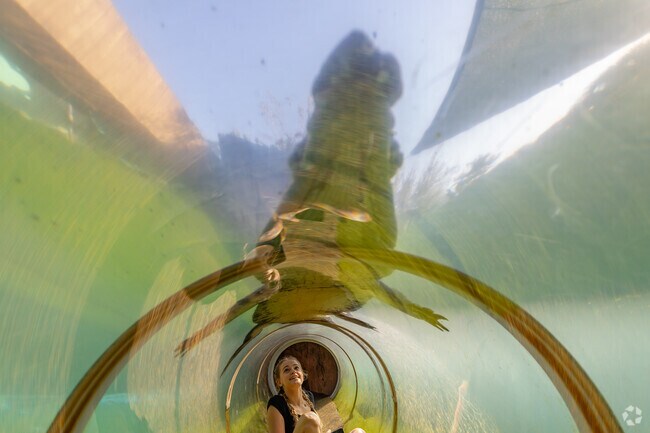 See new exhibits at Miami Zoo, south of Three Lakes, FL.