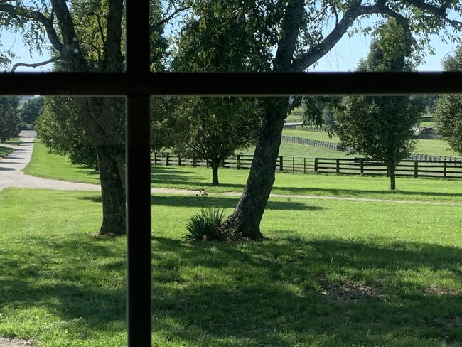 2900 Newtown Pike unit A, Lexington, KY 40511 - photo 5