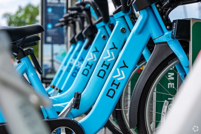 Divvy bikes offer an eco friendly transportation option in Grand Crossing.