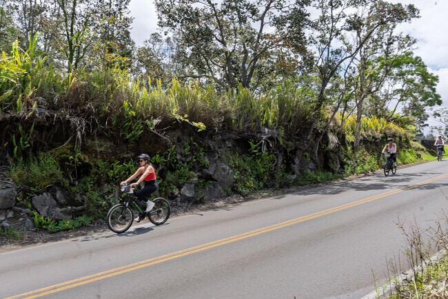Mountain View sits at approximately 1,500 to 2,000 feet above sea level, offering a refreshing alternative to coastal humidity.