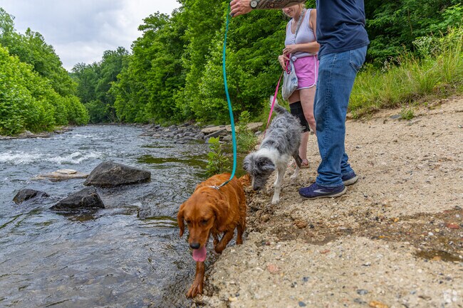 Patapsco Valley State Park is a great place to take a hike and enjoy the great outdoors.