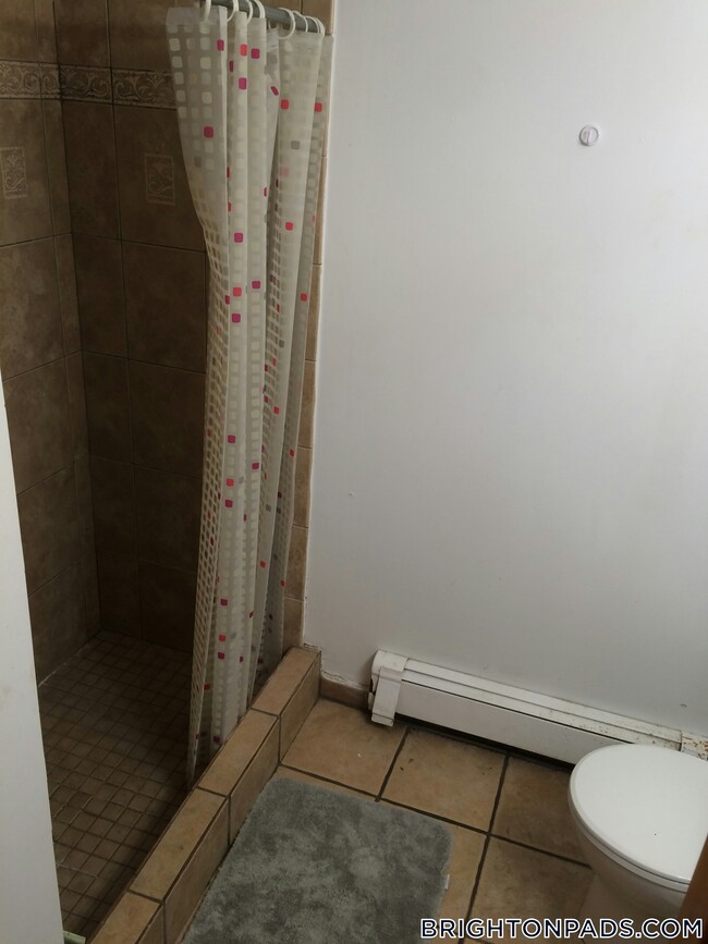 47 Orkney Rd Unit 2, Boston, MA 02135