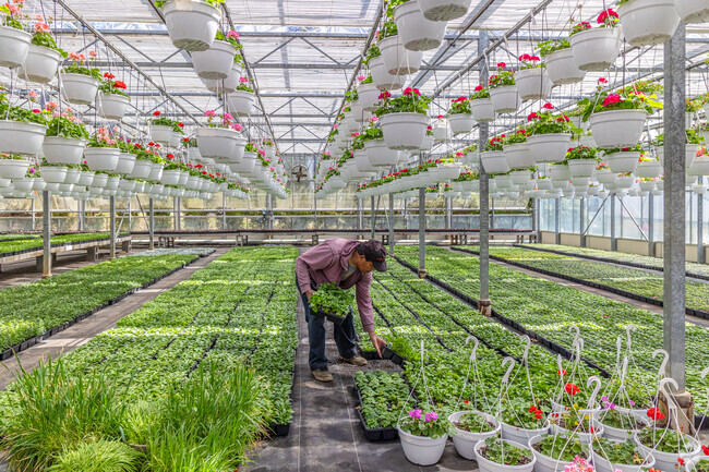 Those wanting fresh veggies can grab their friends and head to Bader Farms in Pine Brook, NJ.