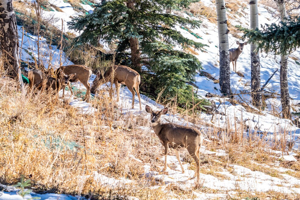 Doubleheader_560862
_MT_072125_001