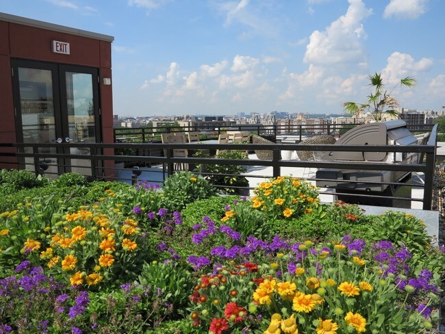 1350 Florida Ave NW, Washington, DC 20009 - photo 4