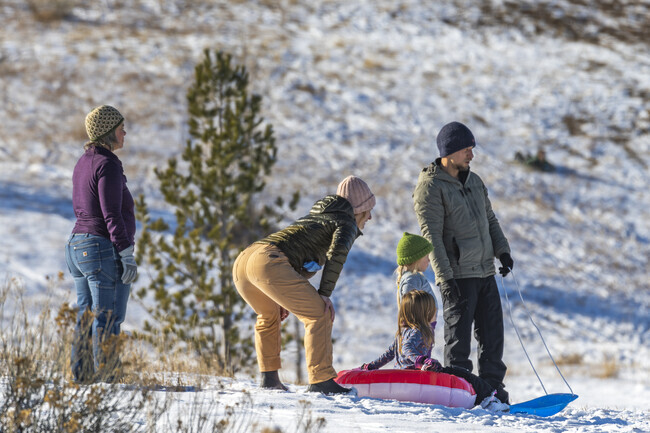 Families gather for outdoor sledding in Fort Collins, laughter echoing through the snow.