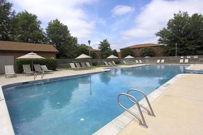 Cool off poolside or get some laps in the Olympic sized pool