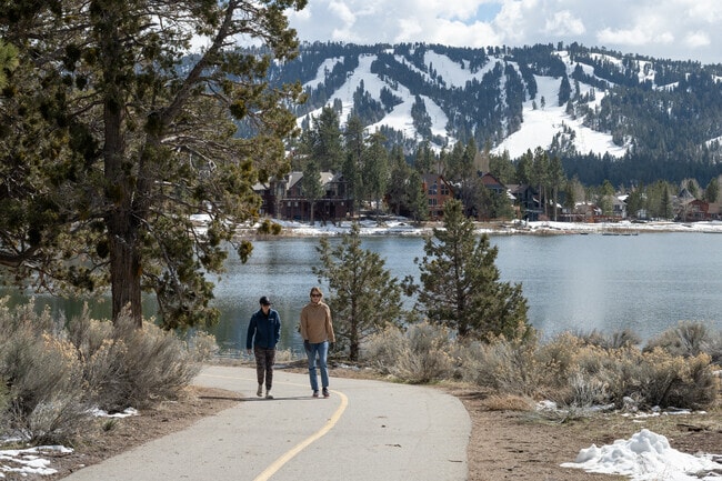 Reconnect with nature on a nice hike at Alpine Pedal Path Trail 1E50.