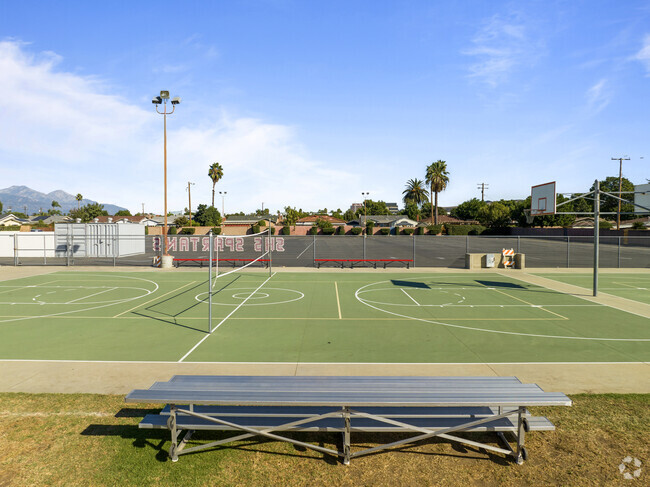 Basketball court