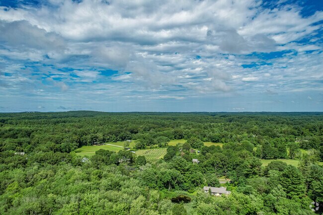 You'll love the vast amounts of greenery offered in Carlisle.