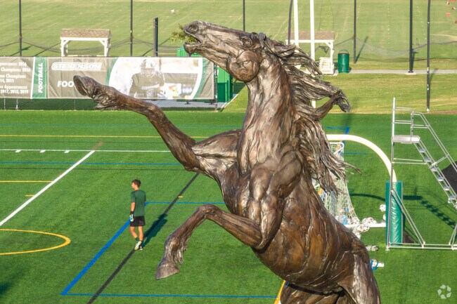 Stevenson University in Owings Mills, MD has a sports field for students.
