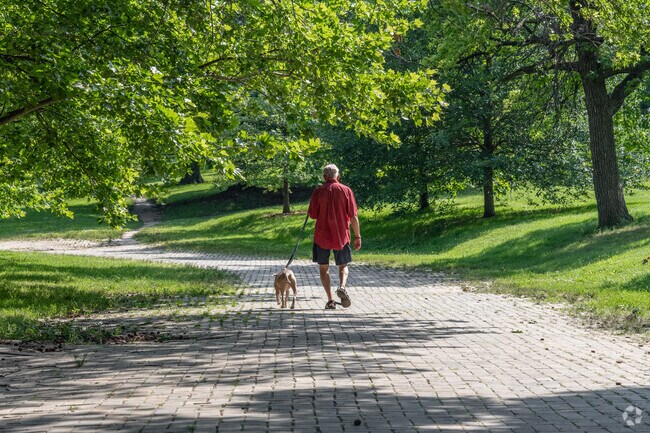 Take your dog for a walk in Patterson Place.