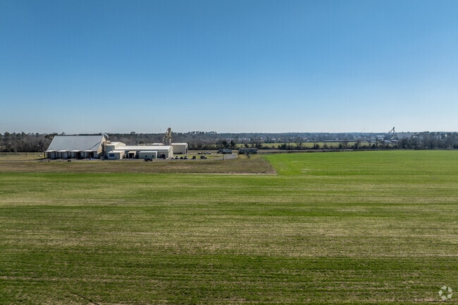 You will see miles and miles of soy and cotton fields in and around the Douglas area.