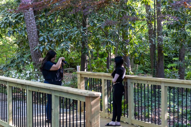 Arcadia families looking for scenic backdrops for photo shoots visit Hatcher Gardens.