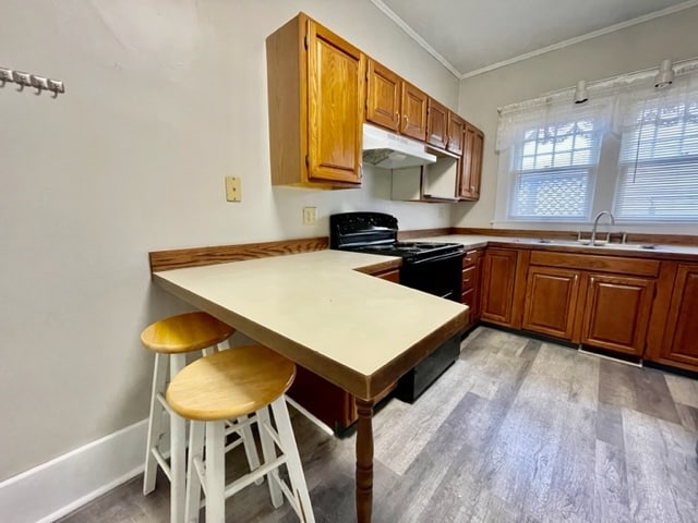 212 Highland Blvd unit 212 Highland, Ashland, OH 44805 - photo 3