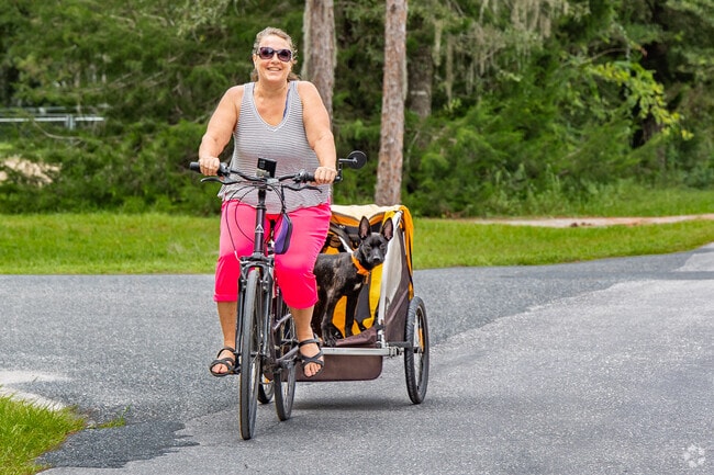 Pups love a ride in anything with wheels in Homosassa Springs.
