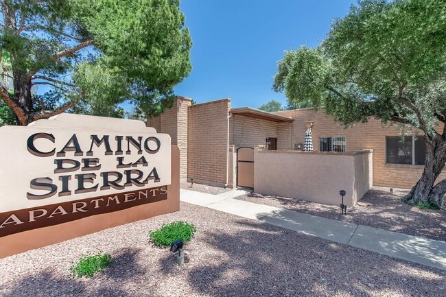 Camino De La Sierra, Tucson, AZ 85712 - photo 7