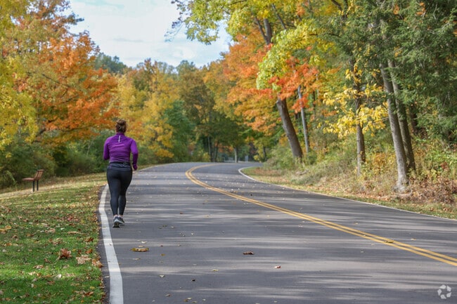 In some areas of Mill Creek Metroparks, there are paved roads, perfect for running.