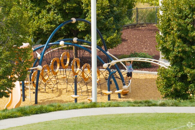 A child braves the monkey bars at Blackstone Park.