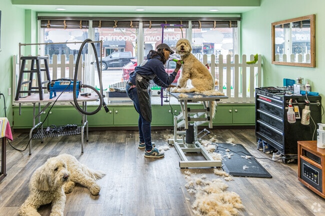 Barktown Willoughby is a boutique that offers dog themed gifts and grooming services.