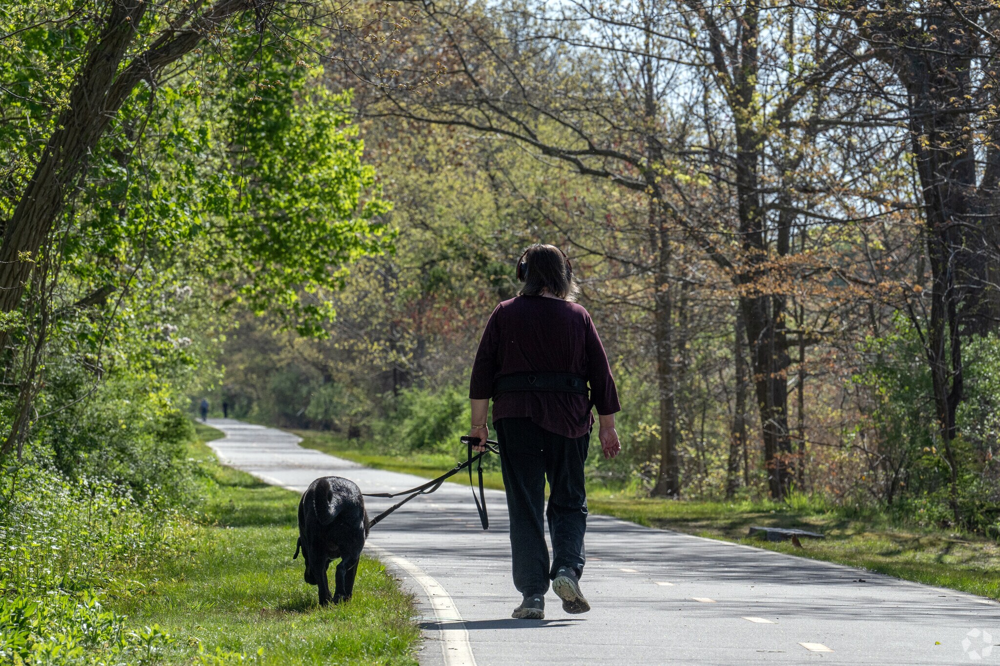 Walks in Veterans Park often include rambles from the Rumstick neighborhood with the dog.