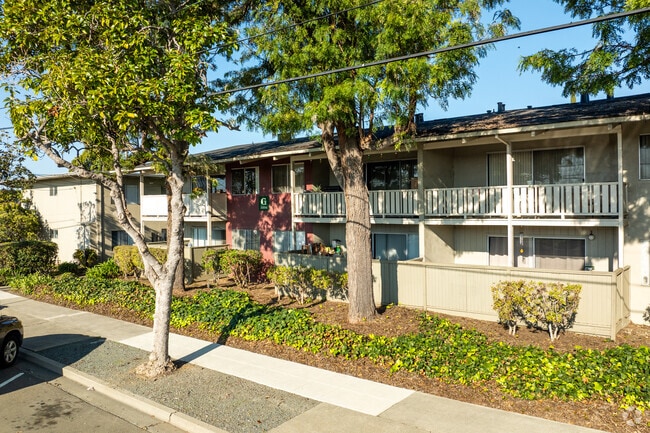 Baywood Apartments, Hayward, CA 94544 - photo 7