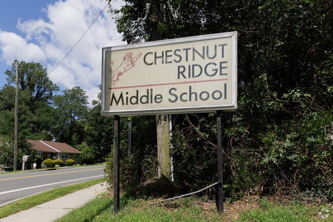 Chestnut Ridge Middle School gets a grade of c- from Niche.