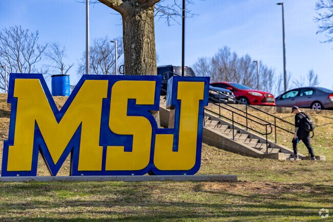 Delhi Hills is home to Mount St. Joseph University, a private Catholic institution.