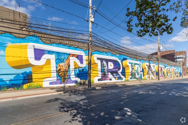 Large, block-long murals like this one can be found in South Trenton.