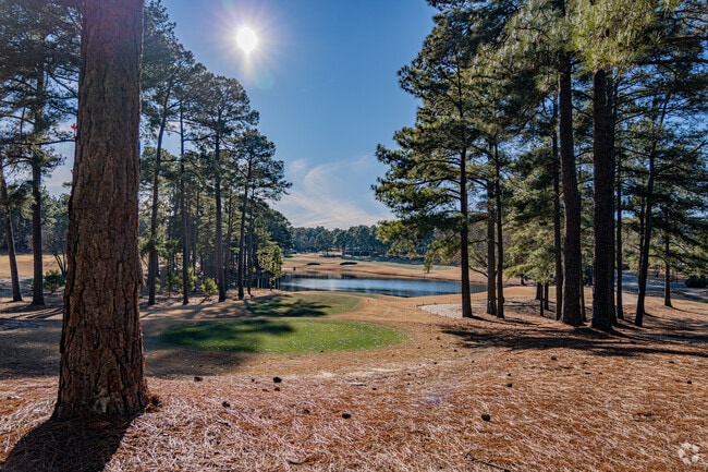 Tall pines and sandy soil typify the 'sandhill' environment of Southern Pines.