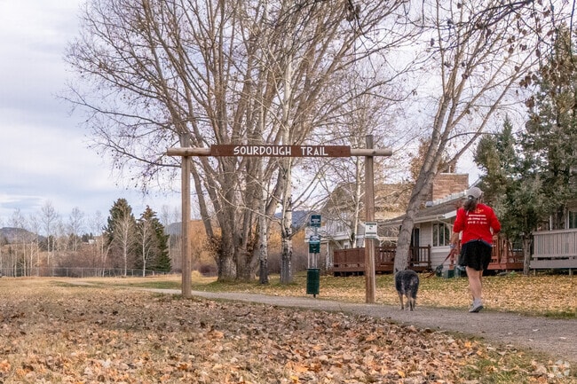 Take your dog for a walk on the peaceful trails of Sourdough Trail Park.