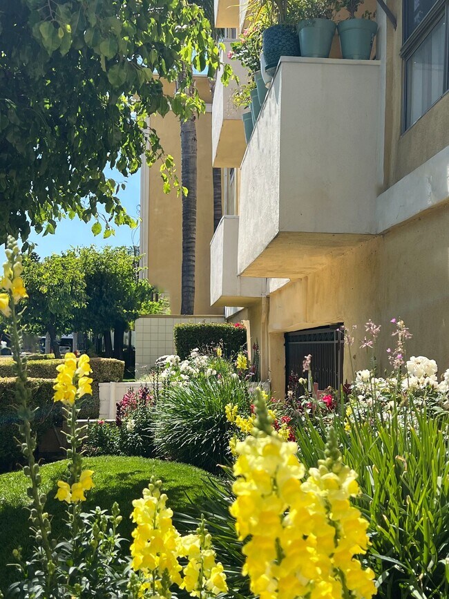 Margate Apartments, Encino, CA 91316 - photo 6