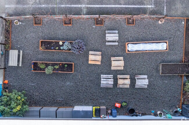 Mt. Si Arbor Montessori School garden.