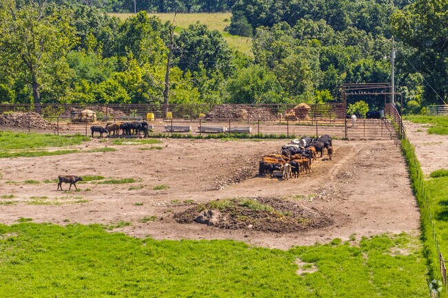 Cattle feed at a ranch just outside Montreal.