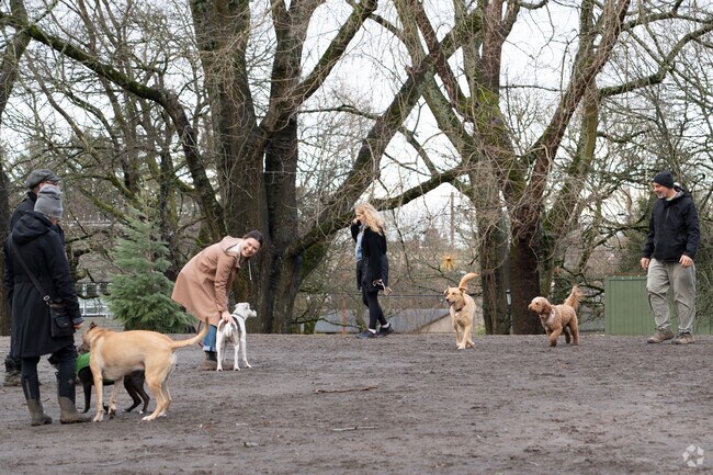 Enjoy one of the Beaumont-Wilshire neighborhood's favorite parks with your puppy.