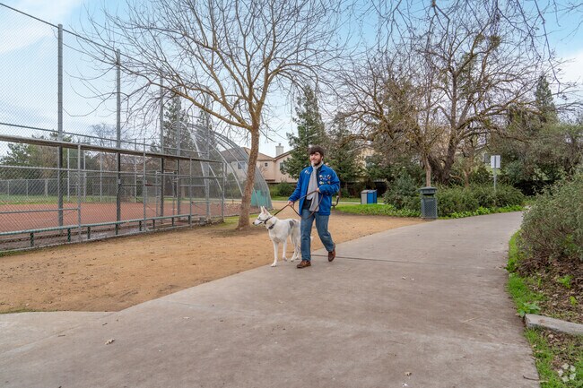 Enjoy a brisk morning stroll through Mace Ranch Park with your dog in East Davis.