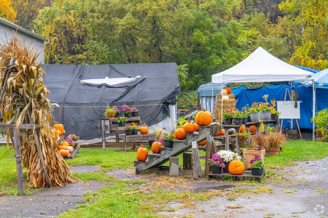Industry residents enjoy stopping at the produce stand along highway 68.