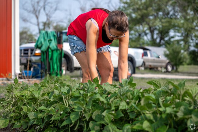 Arkenberg Farms provides fresh produce for Tecumseh residents.