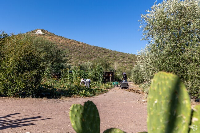 Mission Garden at A Mountain recreates Tucson's agricultural past from 4,000 years ago.
