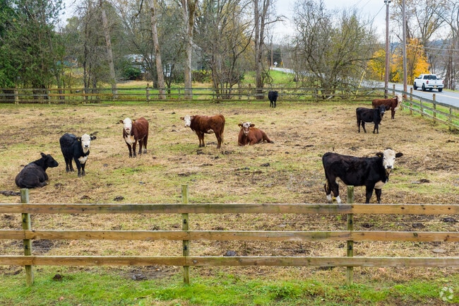 Halfmoon has plenty of farms.
