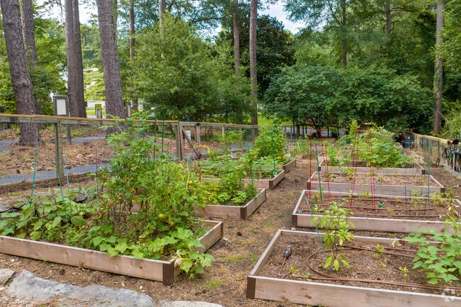Peachtree Park's community garden features 15 rentable beds.