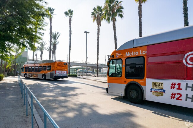 Buses provide convenient public transportation throughout Chandler Park.