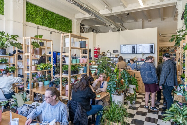 Plants and Coffee in West Ward has live greenery with delicious coffee and breakfast.